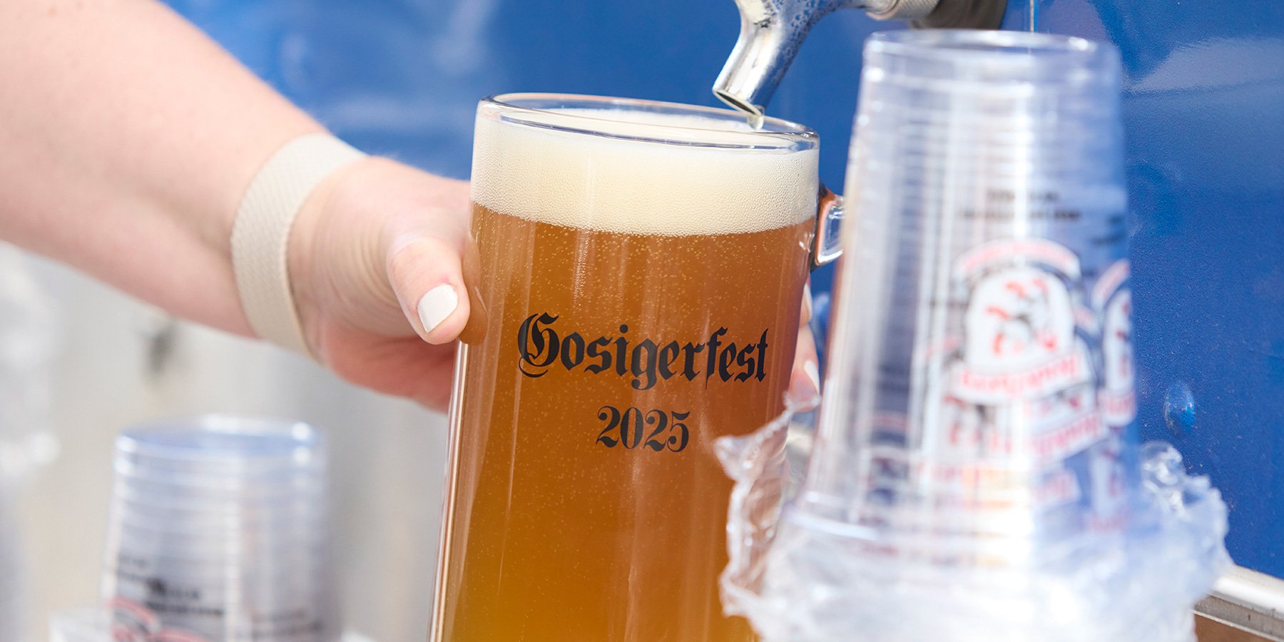  Filled Gosigerfest 2025 Beer Stein 